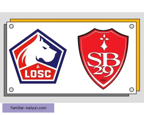 布雷斯特俱乐部发展历程与未来展望：从地方球队到法甲强队的崛起之路